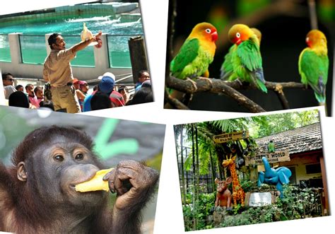 A place to enjoy for both children and adults. ZOO NEGARA - KUALA LUMPUR: Peranan Zoo Negara