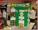 Photos of Electricity Science Fair Projects