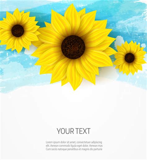 Best Sunflower Banner Pictures Illustrations Royalty Free Vector