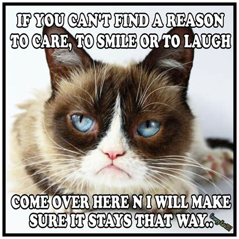 Top 23 Grumpy Cat Memes Harry Potter Self Worth Quotes