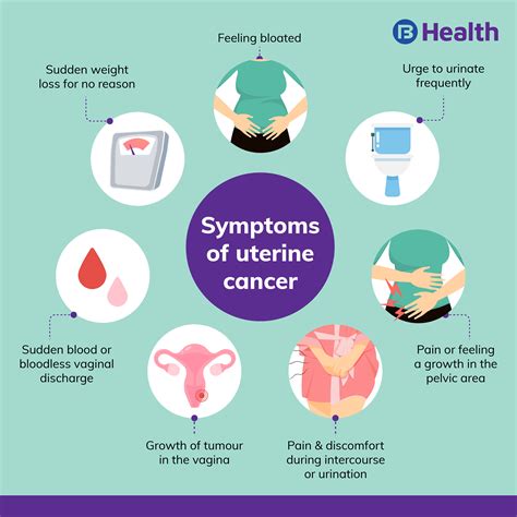 Uterine Cancer Types Symptoms Causes And Treatment Hot Sex Picture