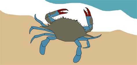 Blue And Red Claws By Wildandnaturefan On Deviantart