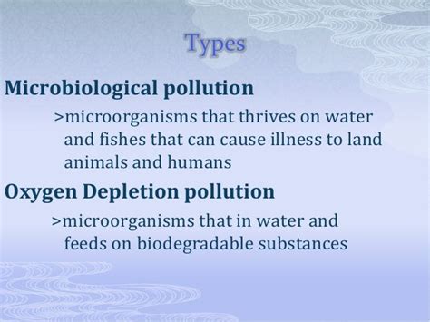 Microbiological Water Pollution Understanding The Invisible Threat