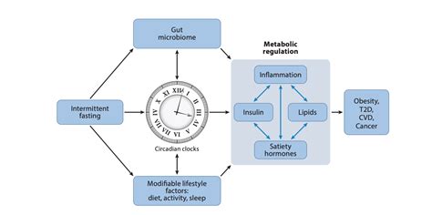 Intermittent Fasting And Diabetes Risk Diabeteswalls