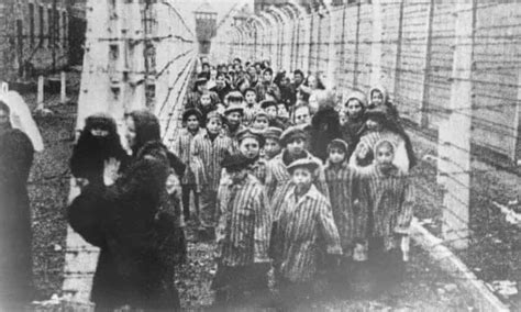 Tales From Auschwitz Survivor Stories Holocaust The Guardian