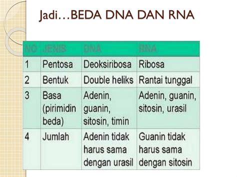 PPT - Materi Metabolisme purin dan pirimidin PowerPoint Presentation