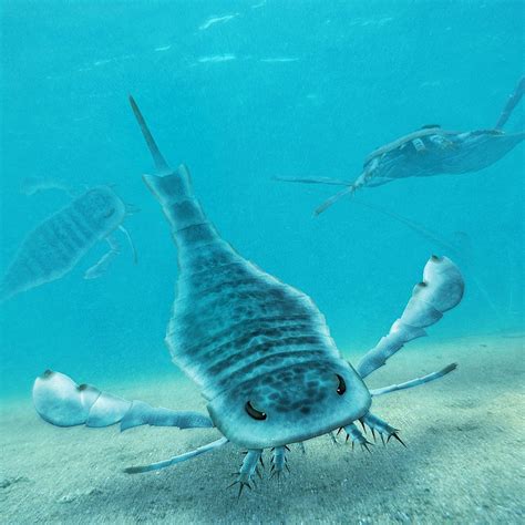 Prehistoric Marine Animals