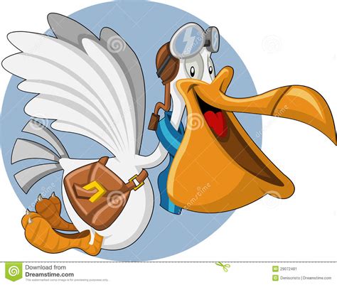 Cartoon Pelican Stock Vector Illustration Of Animal
