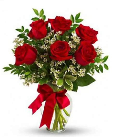 Half Dozen Beautiful Red Roses By Blooms Floral Studio Red Rose