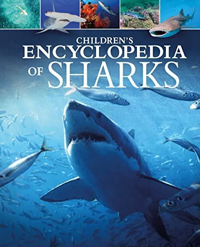 The 10 Best Childrens Encyclopedias Guidebook