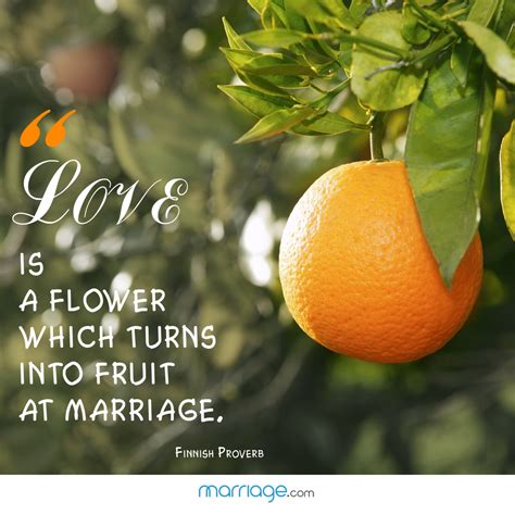 Here are a few examples of idioms: Love is a flower which turns into fruit at marriage ...