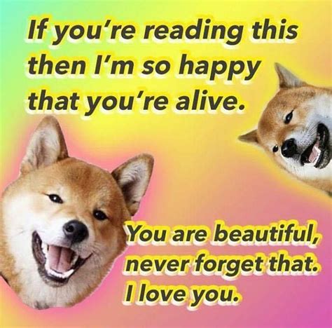 Dank Meme University | Love you meme, Love memes, Positive ... Here's collection of some dank memes reactions that are so funny and so humor.i'm sure that its will make you laugh and funny.just check out these dank memes reactions.