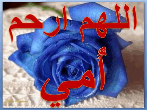 ولكن الزوجة تحتاج لأكثر من عامل حتى يتم الوصول للنشوة الجنسية، ولكن ما هي النشوة الجنسية. صور عن الام المتوفيه , فضل و رثاء الام - عالم ستات