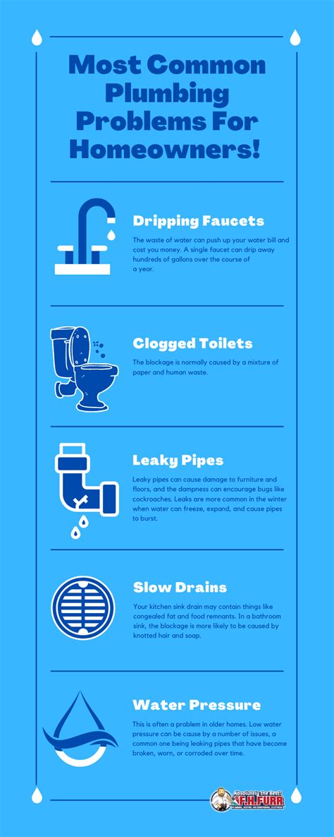 Infographic Most Common Plumbing Problems For Homeowners