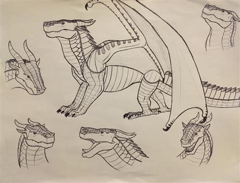 Wings Of Fire Mudwing Studies By Iron Zing On Deviantart