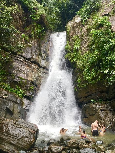 Waterfall In El Yunque Rainforest Puerto Rico El Yunque Rainforest