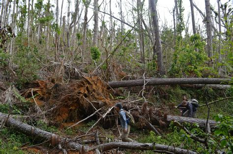 Hurricane Maria Study Warns Future Climate Driven Storms May Raze Many