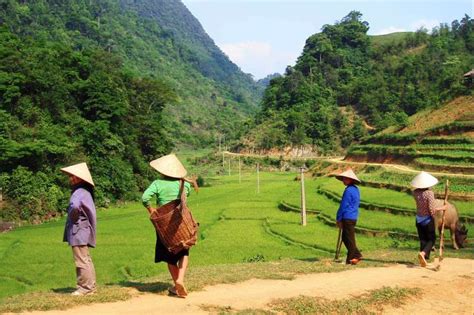 Voyage Aventure Vietnam Randonnée Tonkinoise Nomade Aventure