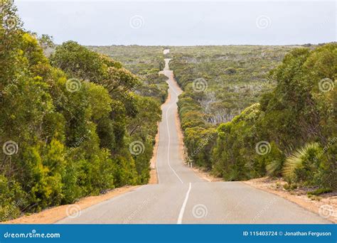 The Long Open Road Ahead Stock Photo Image Of National 115403724