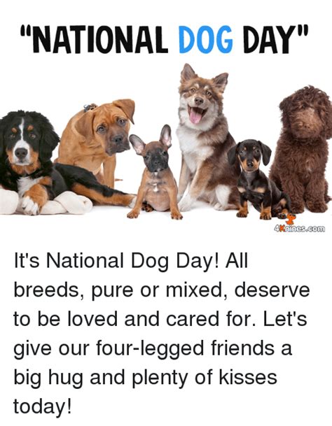 National Dog Day Memes