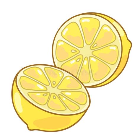 Simple Hand Drawn Cut Lemon Illustration Stock Vector Illustration Of