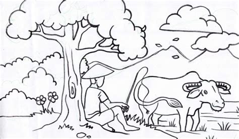 Mewarnai Pemandangan Alam Sketsa Gambar Pelangi - Download Kumpulan Gambar