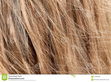 Blond Hair Texture Background Stock Photo Image Of
