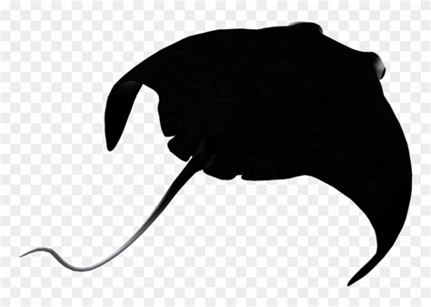 Manta Ray Silhouette At Getdrawings Manta Ray Silhouette Png Clipart