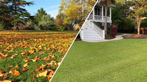 Lawn Care Guides Sod University Sod Solutions