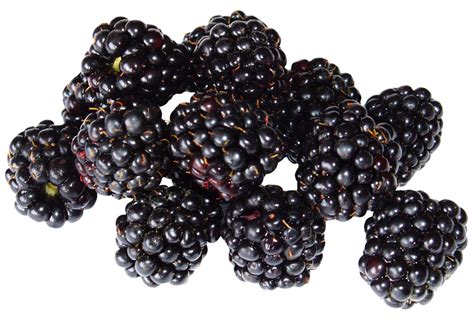 Blackberry Fruit Png Image Purepng Free Transparent