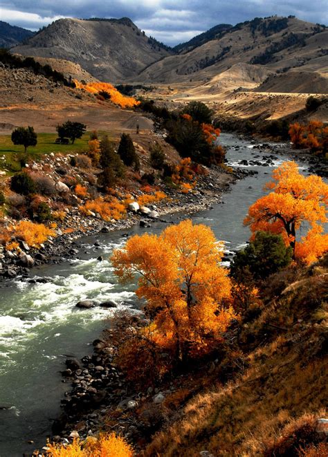 Climate Change Threatens Yellowstone River • The National Wildlife