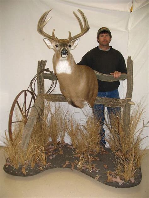 Pin By Kristen Becker On Deer Mount Ideas Deer Hunting Decor