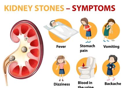 Constipation With Kidney Stones Every Detail You Must Know Staying