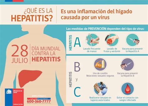 Qué Es La Hepatitis B Y C Y Cómo Prevenirla Hospital El Carmen Dr