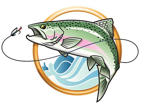 Rainbow Trout Clip Art Vector Images And Illustrations Istock