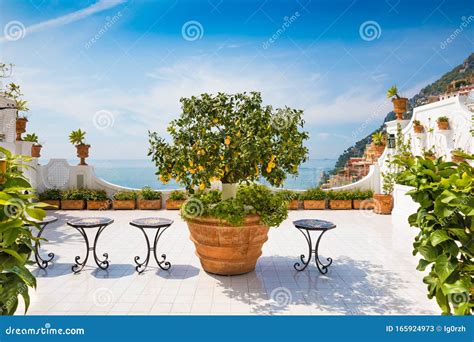 Lemon Tree Growing In White Francoâ€ S Bar Via Cristoforo Colombo