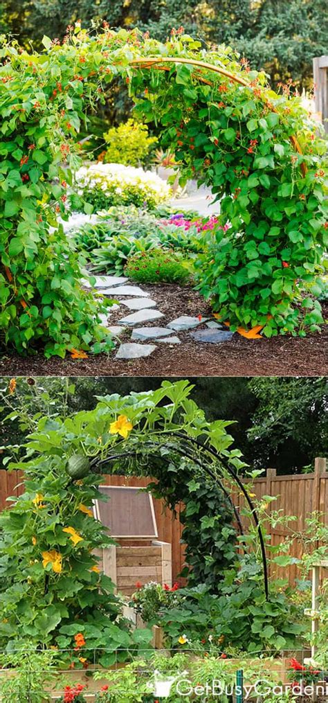 Some people want to give their garden a special touch. 21 Easy DIY Garden Trellis Ideas & Vertical Growing Structures - Page 2 of 2 - A Piece Of Rainbow