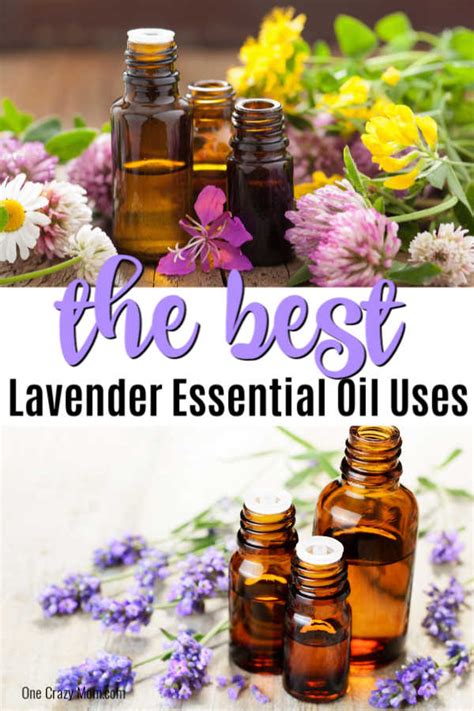 Instead, put the lavender, potpourri or essential oil into a sealed plastic bag and give these to your vet for examination and testing. Lavender essential oil uses - 25 lavender oil uses you ...