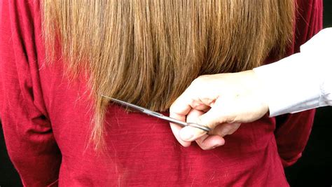 Closeup Of Long Hair Being Cut By Hairdresser Stock Footage Video