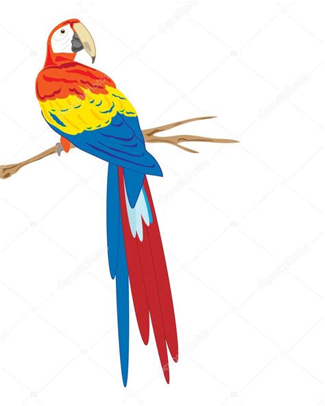 Vector Guacamaya Roja Guacamaya Roja — Vector De Stock © Emjaysmith