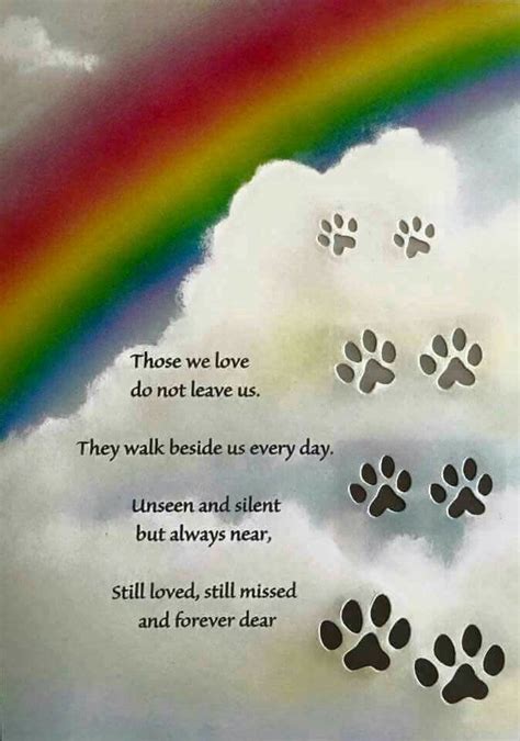 Pet Loss Poems Celebrating The Love And Lives Of Our Dogs Pet Loss
