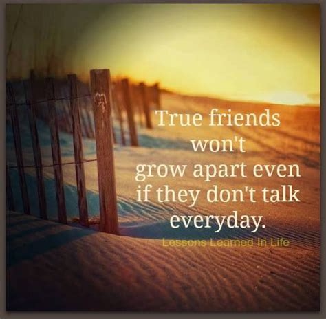 True Friends Wont Grow Apart Even If They Dont Talk Everyday