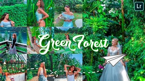 Adobe lightroom is the most popular image editing software for lightroom presets are important, because they help you to edit your photos in record time by doing a lot of the it is, after all like spring: Green Forest Preset | Free Lightroom Mobile Presets Free ...