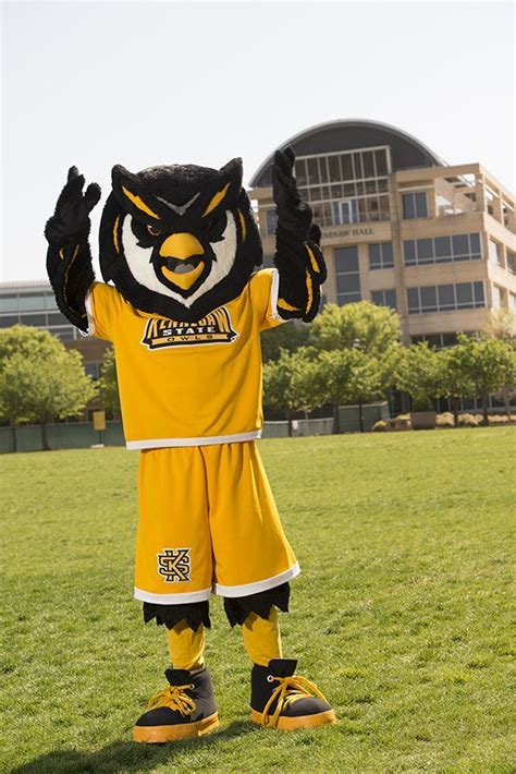 Kennesaw State Owls Mascot Scrappy The Owl Kennesaw State University Ksu Owls Kennesaw