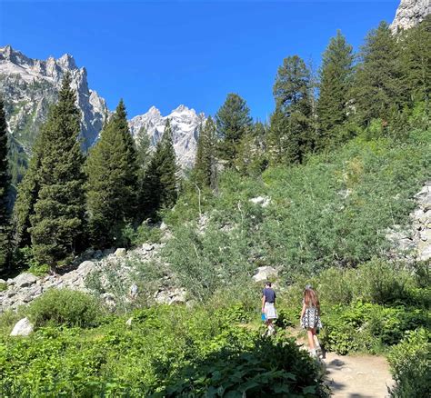 The 8 Best Hikes In Grand Teton National Park For Families