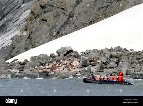 Cruise Passengers At Historic Elephant Island Antarctica Is The Site Of Sir Ernest Shackletons