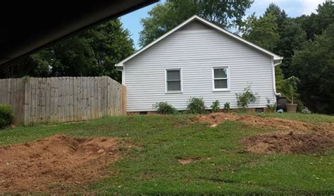 Homeowner showcases 'enchanting’ before-and-after photos of their lawn