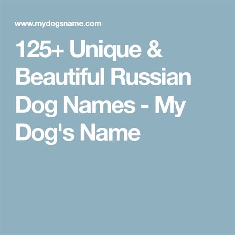 125 Unique And Beautiful Russian Dog Names My Dogs Name Russian