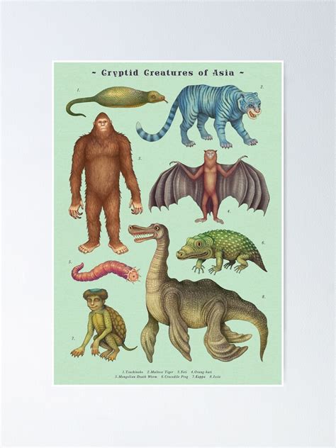 Cryptids Of Asia Cryptozoology Species Poster For Sale By