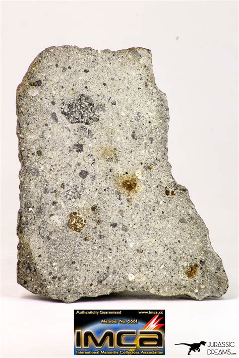 Top Rare Nwa Howardite Achondrite Meteorite Polished Section 556 G